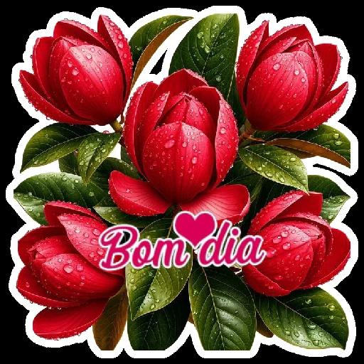 bom dia bom noite 