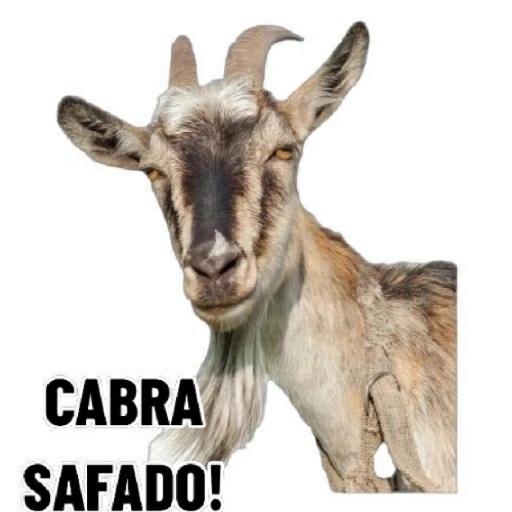 a culpa e sua 