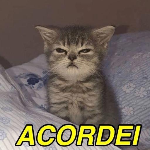 ACORDEI