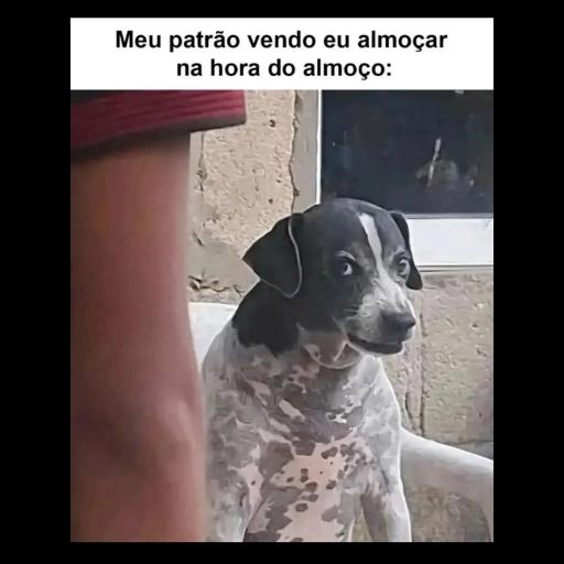 figurinhas