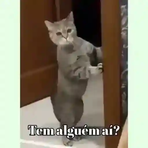 eli