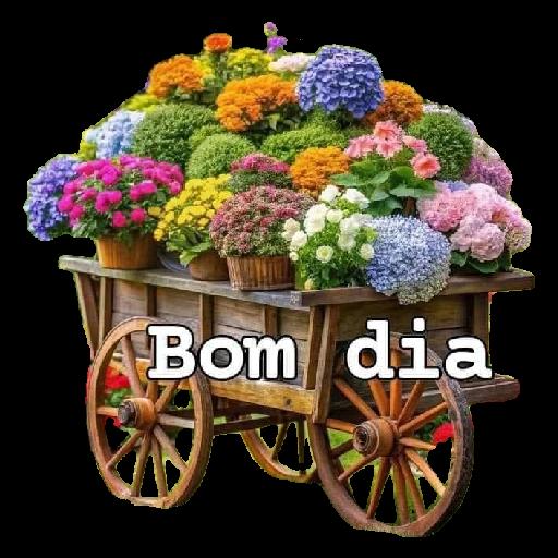 Bom Dia 