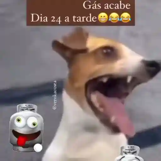 Gás acabe Dia 24 à tarde 🤣🤣