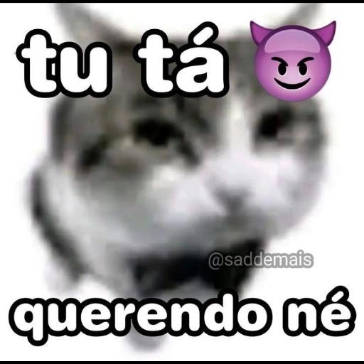 não NÃO não NÃO não não NÃO não não NÃO não