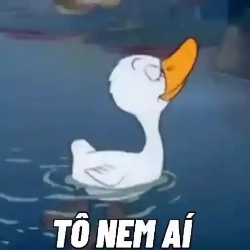 la ele