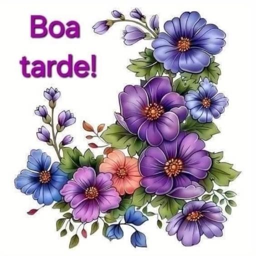 BOA TARDE