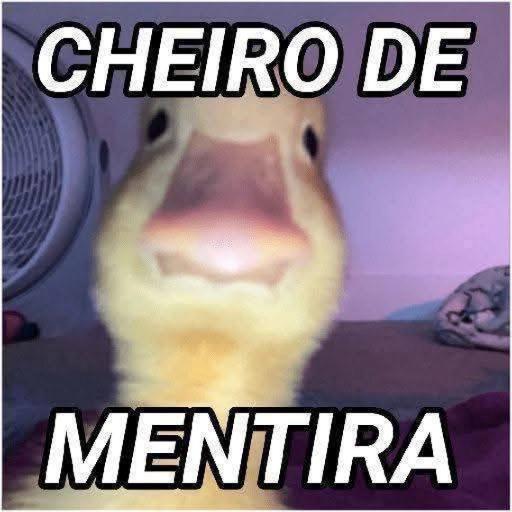 Te na banho!