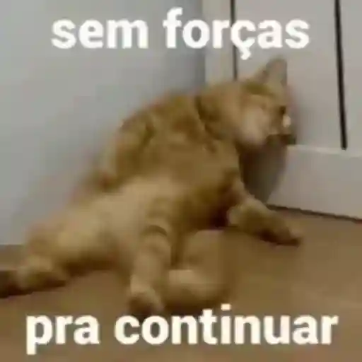 cansaço 