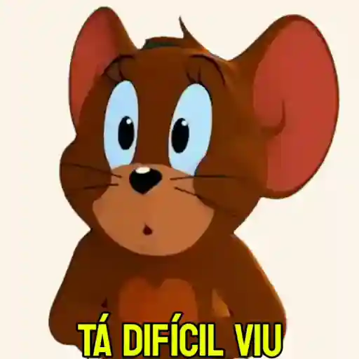 aniversário 🎂