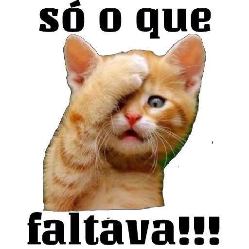 Que a Luz Divina nos ilumine Bom Dia