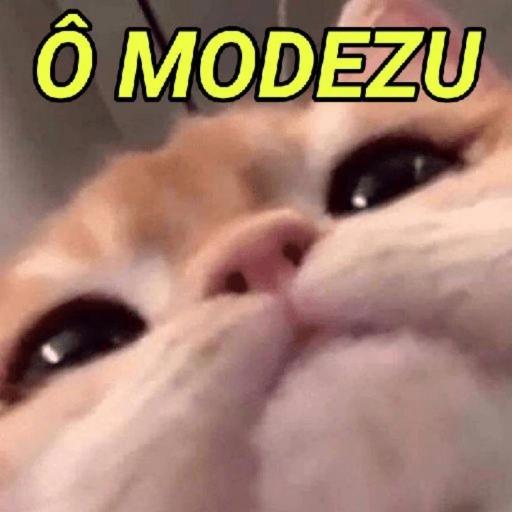 coração 