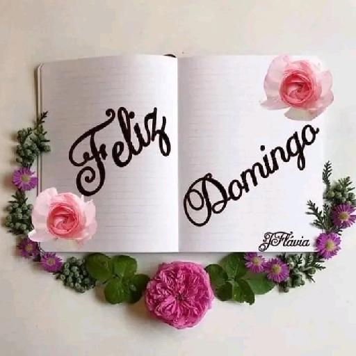 bom domingo 