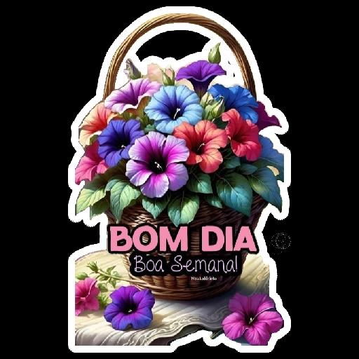 FELIZ TERÇA FEIRA