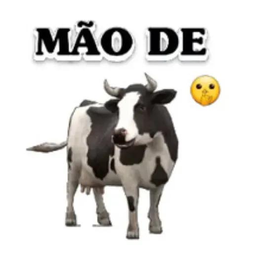 adesivos de humor