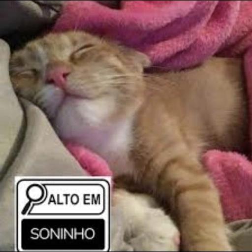 legal amei