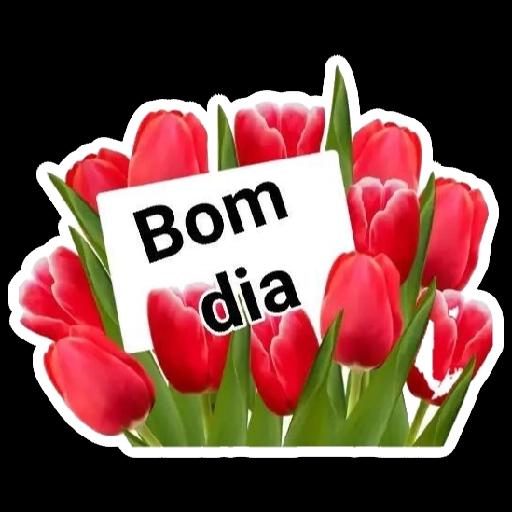 quaresma tempo de conversao