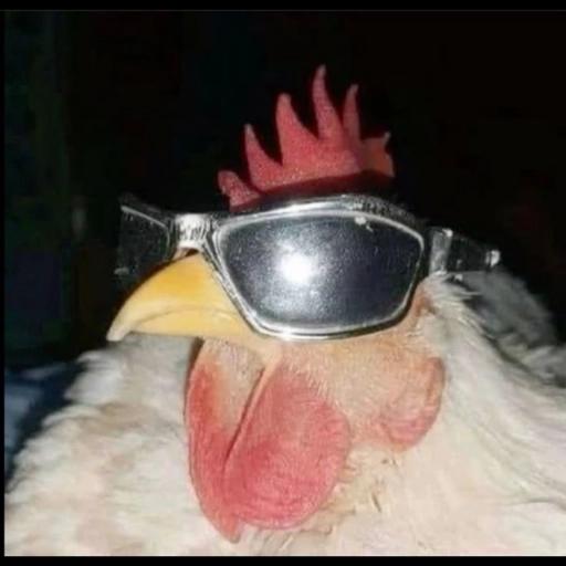 no