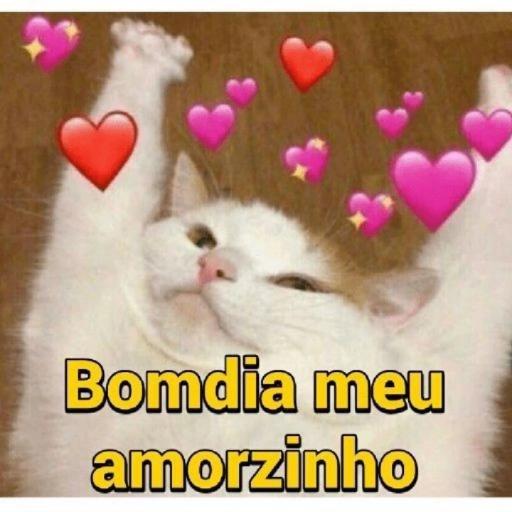 Boa noite! BOM Descanso Até amanhã