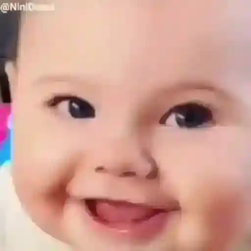 aniversário 🎂