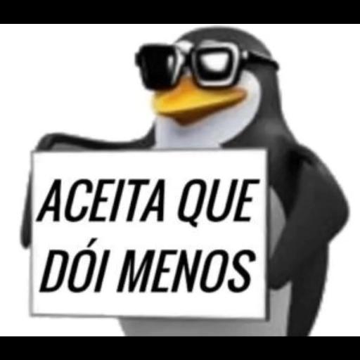 ACEITA QUE DÓI MENOS