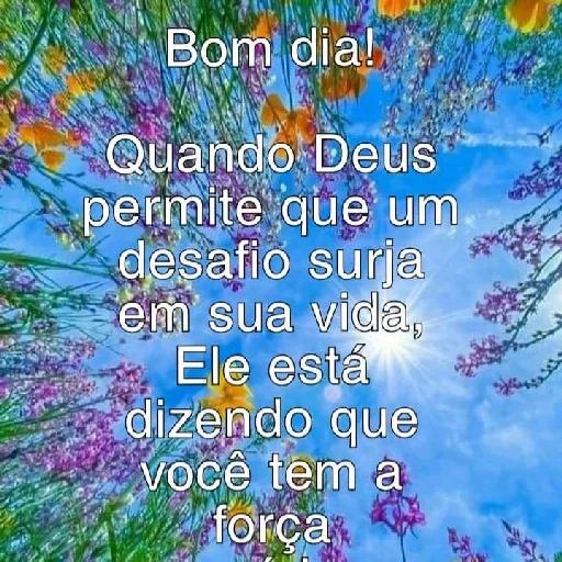 Bom dia!
Quando Deus
permite que um
desafio surja
em sua vida,
Ele está
dizendo que
você tem a
força.