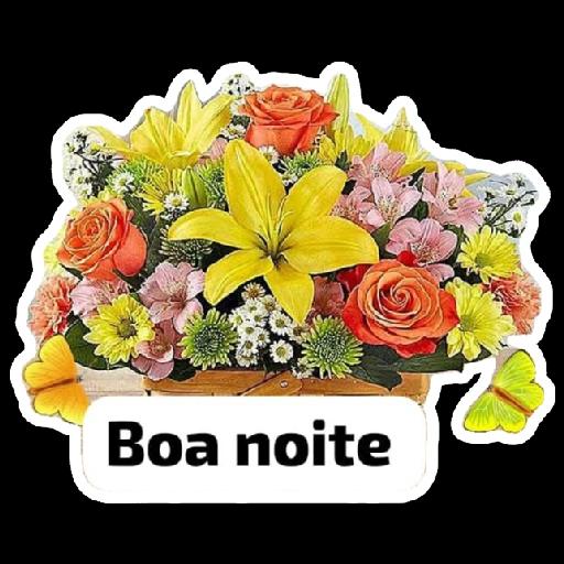 bom dia bom noite 