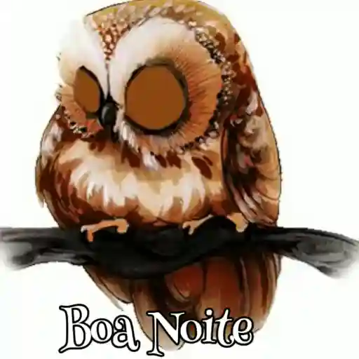 Boa Noite