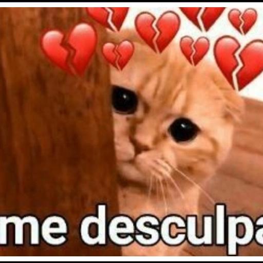 Tudo sob Te adoro Controle.