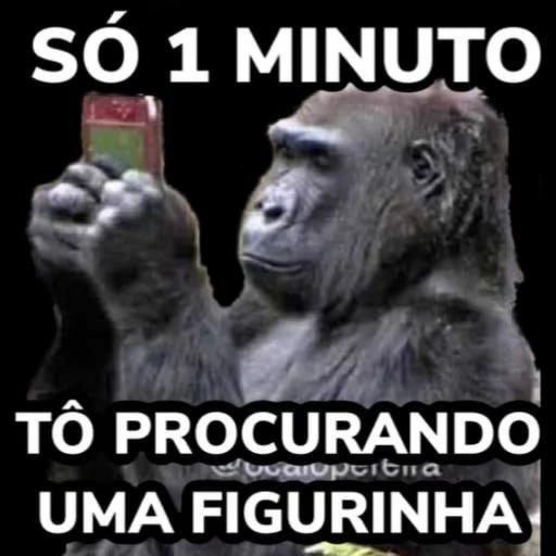 marrapais