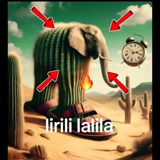 ...