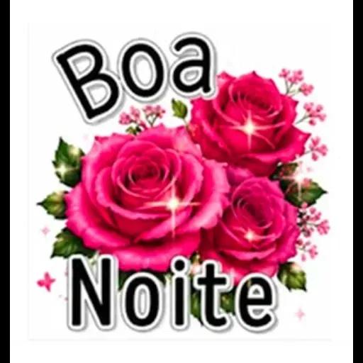 Lindos adesivos