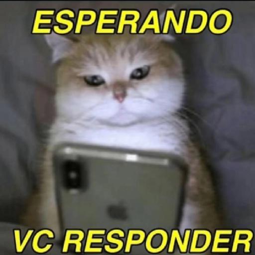 ESPERANDO  VC RESPONDER