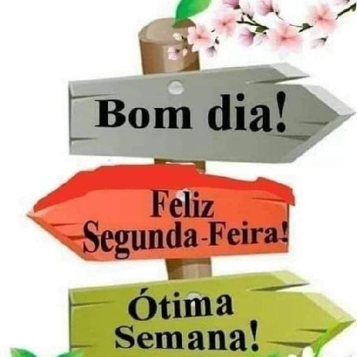 semana 