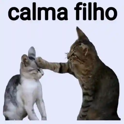 calma filho