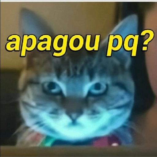 hjjuji