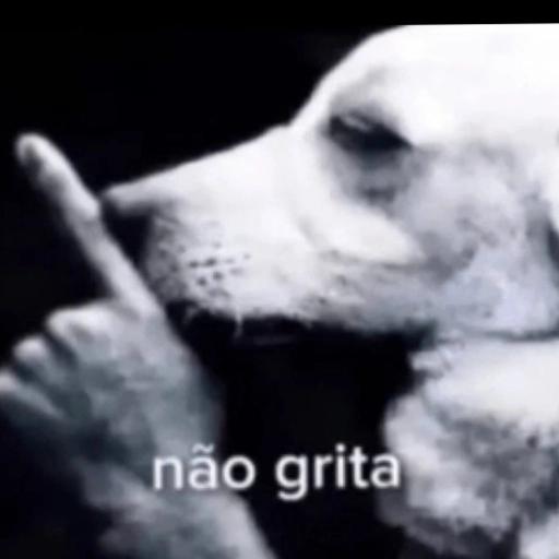 Rir até chorar