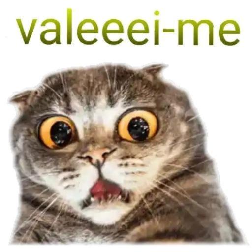 VOU PENSAR NO SEU CASO