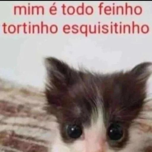 ESPERANDO  VC RESPONDER
