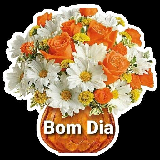 Bom Dia 