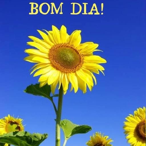 Bom Dia 
