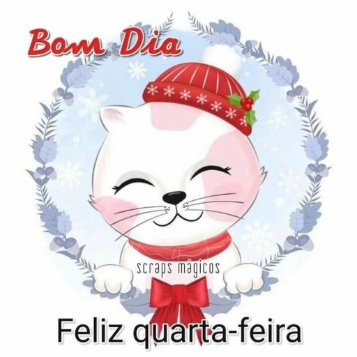 semana 