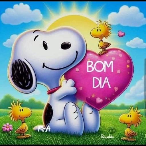 BOM DIA