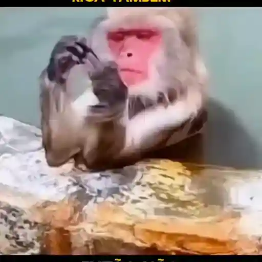Mó paz