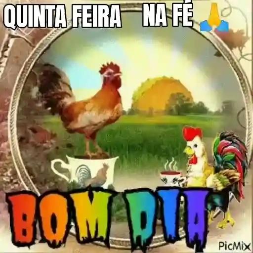 bom dia 
