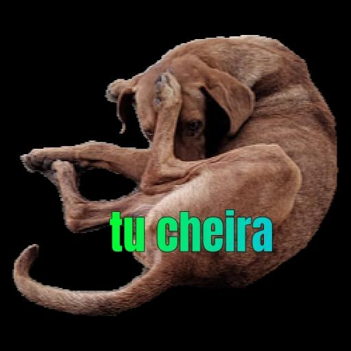 FIGURINHA ROUBADA COM SUCESSO