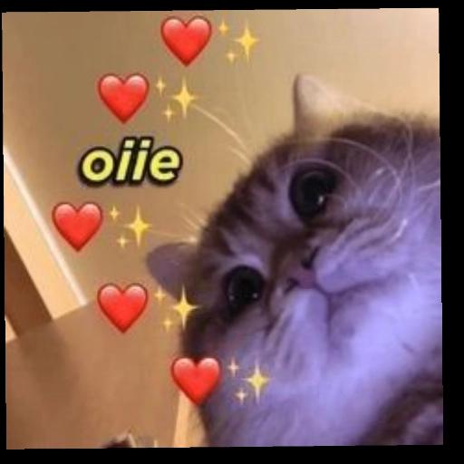 Lembrete vc tá errado OK