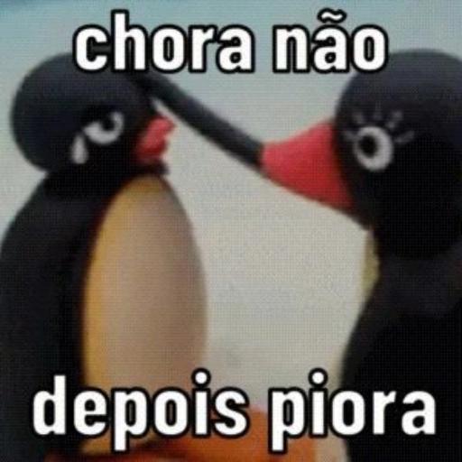 engraçado 🤣 