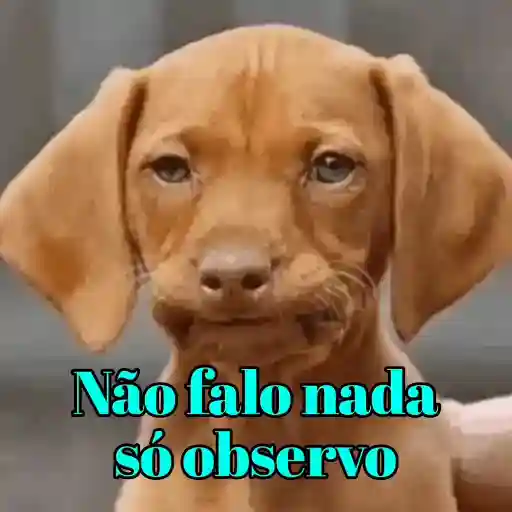 cade os pessoal do grupo