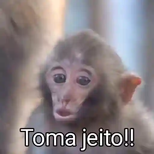 Sextou com S de saudade de férias!