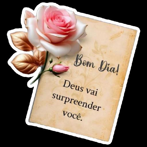 bom dia bom noite 
